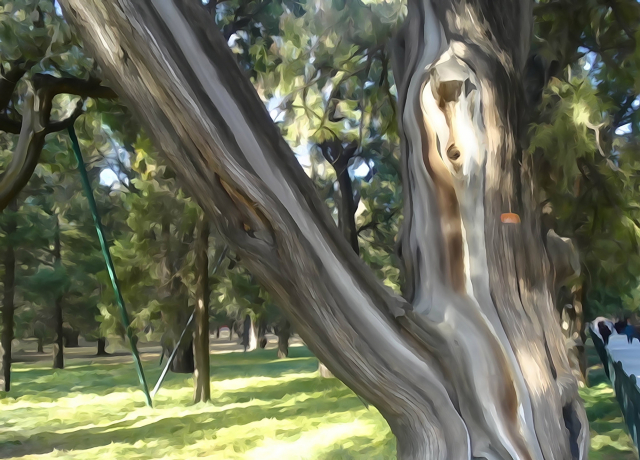 索尼hx99长焦测评,索尼口袋相机qx10