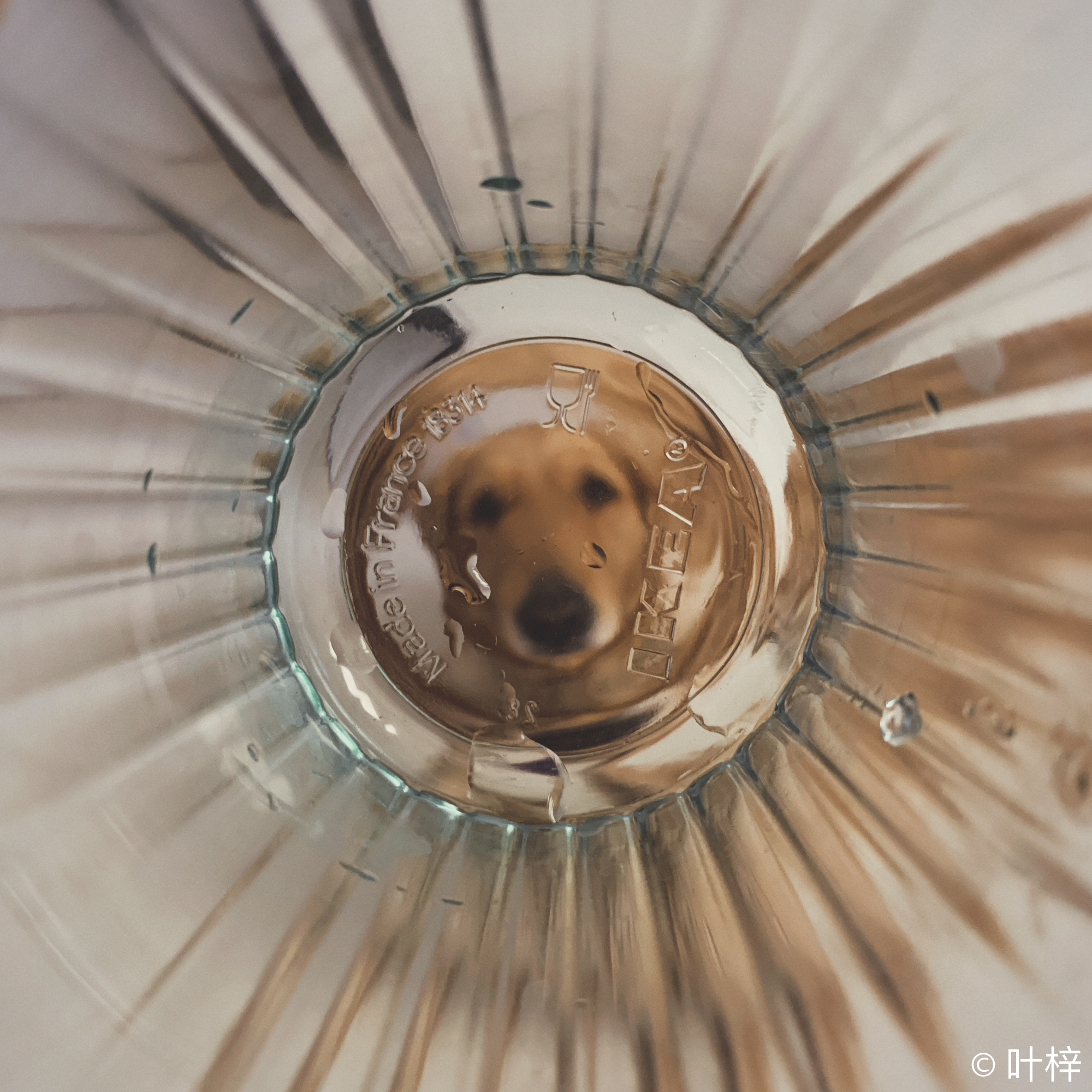 胶片app哪款拍摄质量最好,胶片摄影app排行榜前十名