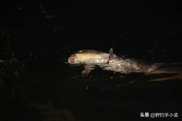 夜钓鲢鳙用夜钓灯好还是夜光棒好,夜光浮标好还是夜钓灯好用