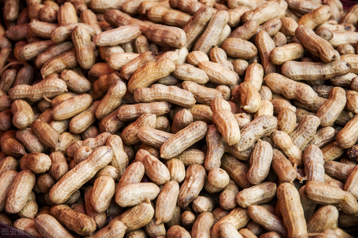 炒黄豆的散文,散文摘花生