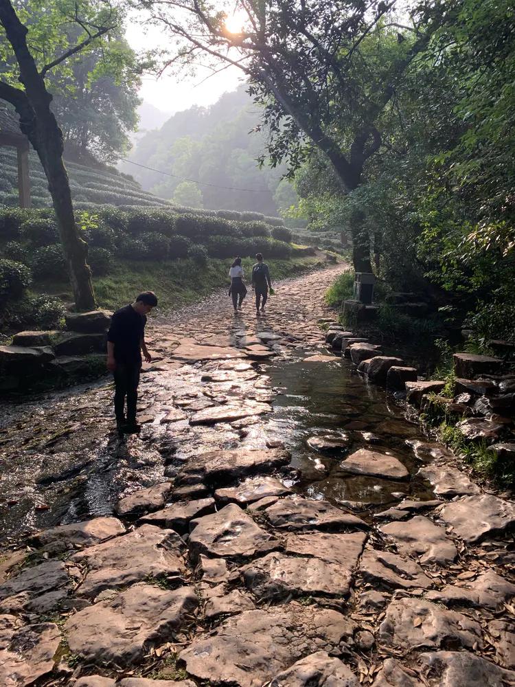 龙井村九溪十八涧徒步最佳路线图,九溪十八涧只有龙井村一个出口吗