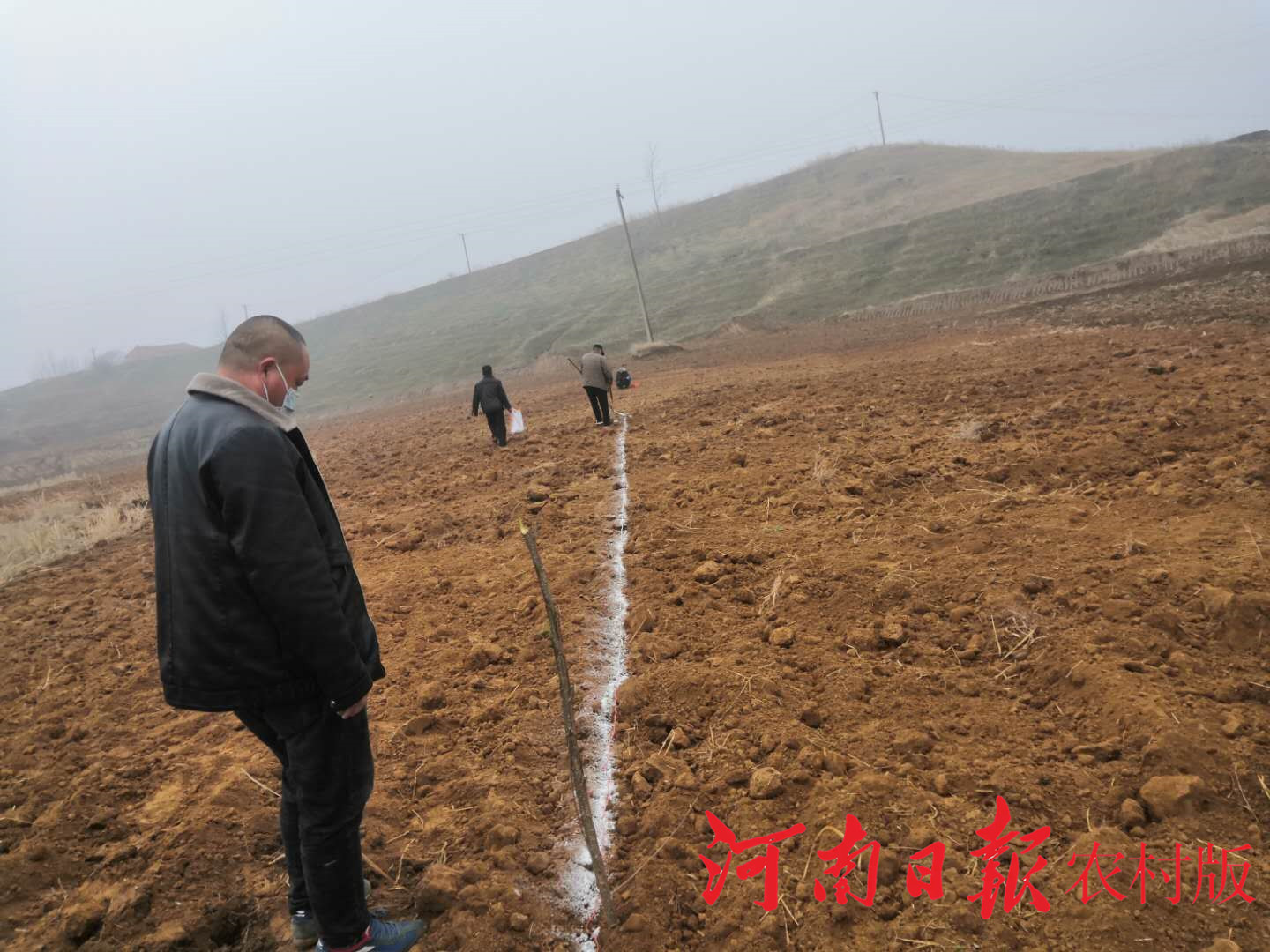 防疫不松劲生产不停步,合阳县王村镇防疫春耕两不误