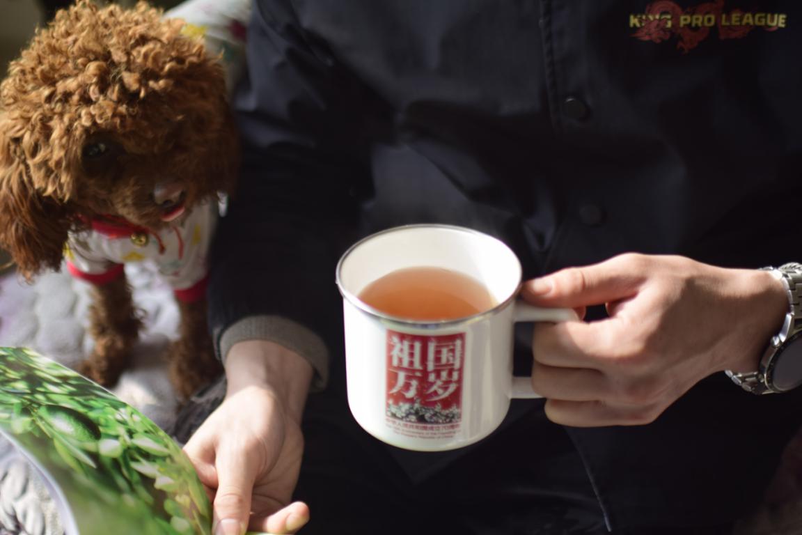 茶吧机和净水机建议选哪个更实用,茶吧机净水器一体实测推荐