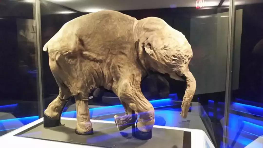 维多利亚国际排行,维多利亚城市风光