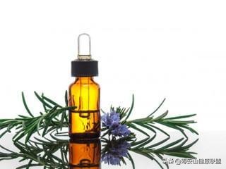 迷迭香精油的功效与作用及怎么使用,迷迭香精油的功效与作用图片
