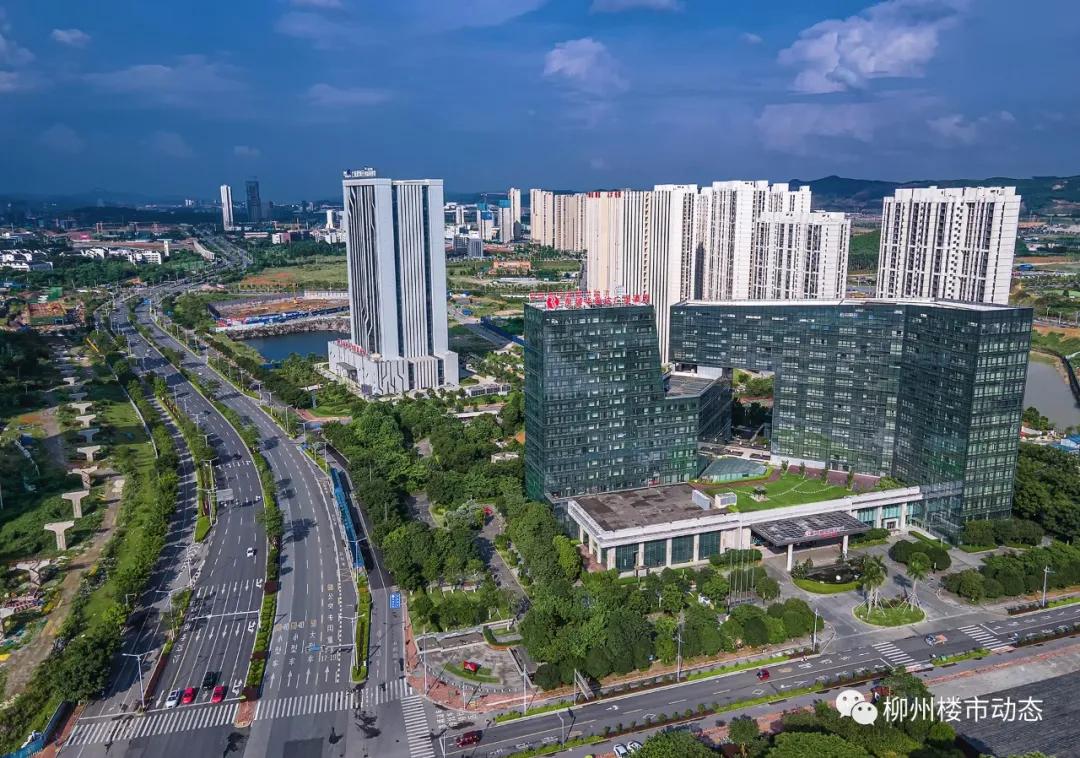 这个夏天柳东“热”得不像话，科教文娱全方位爆红