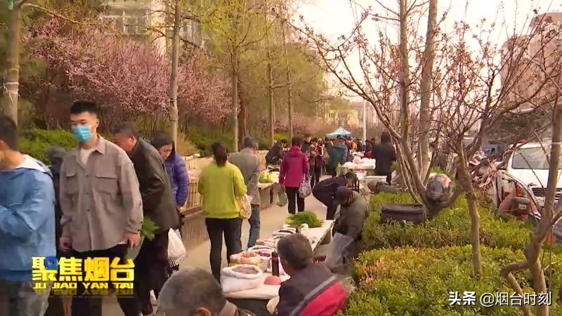 城管整治占道经营最新,城管占道乱象整治