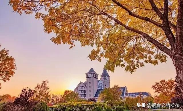 烟台发布冬游攻略书,烟台冬日游