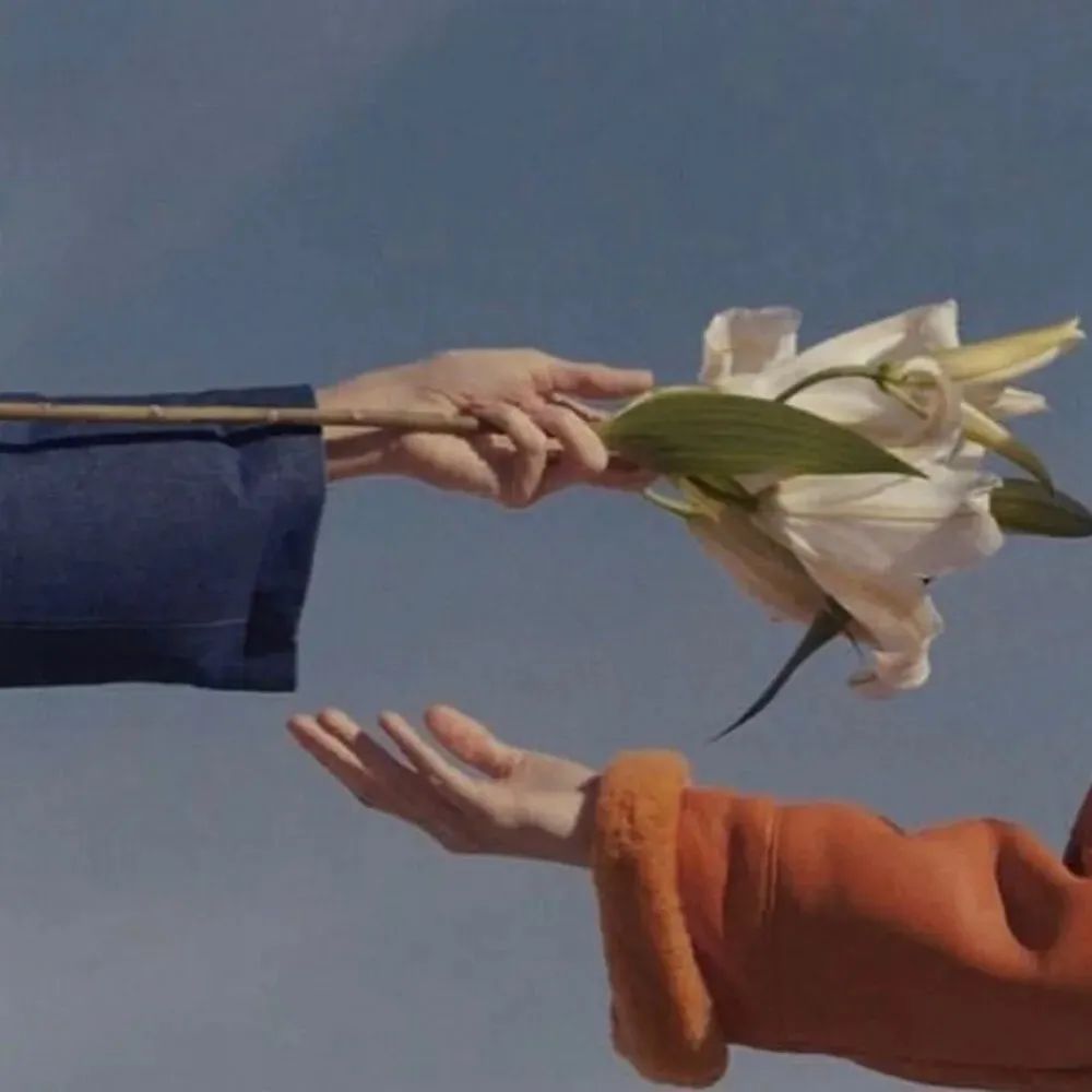 莫晨欢合集,bl《重生超模》腹黑毒舌时尚教父攻×新星超模受