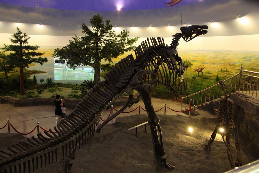 有龙的地方简介,有龙的地方景区