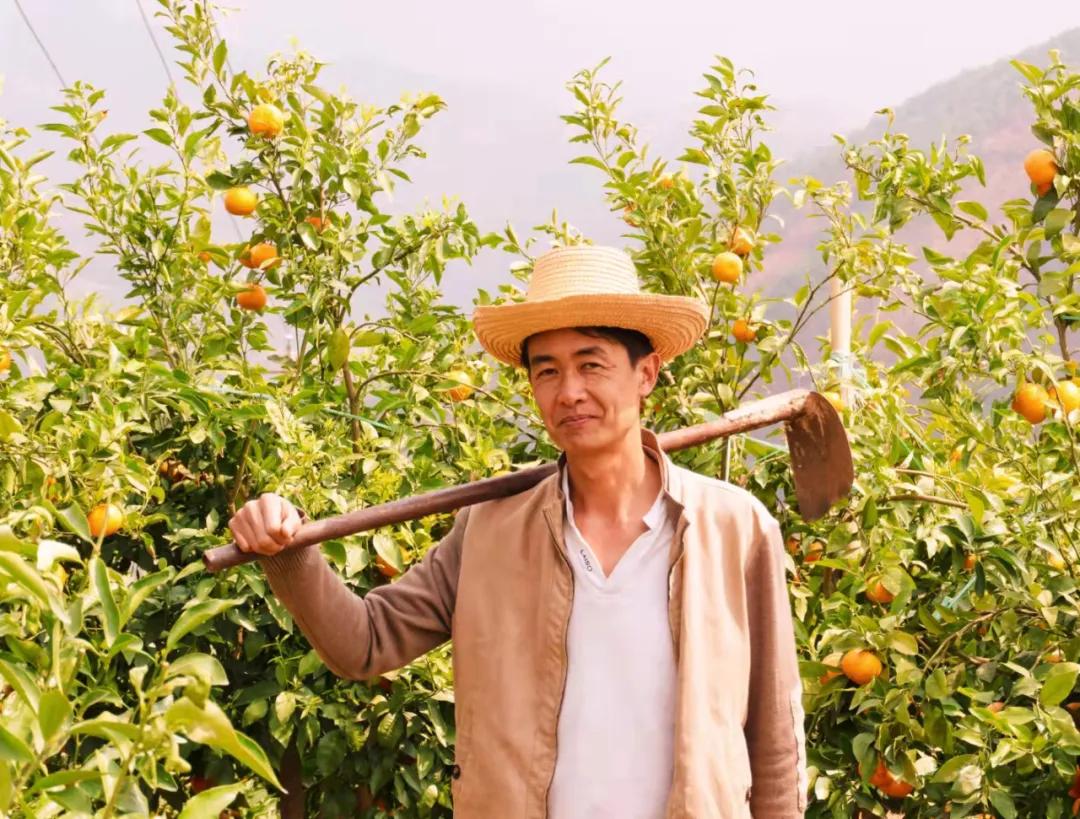 永胜油茶罐,永胜油茶罐装