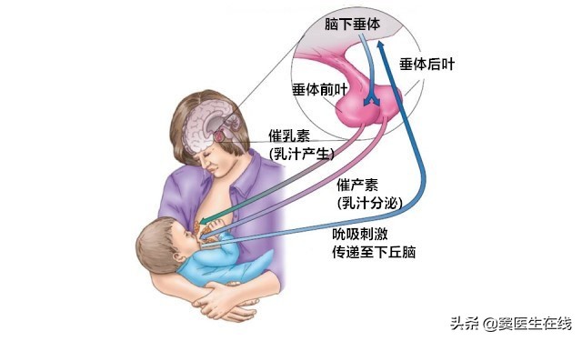 怀孕了可以吃甲磺酸溴隐亭吗,孕期吃甲黄溴隐亭有什么好处