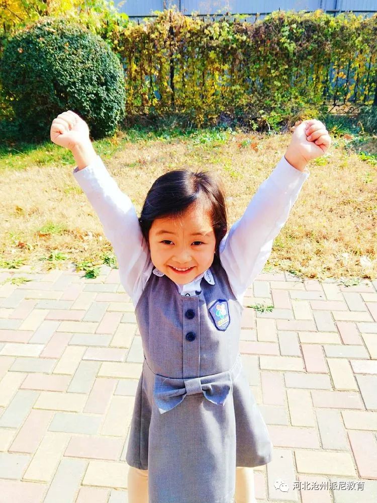 身体大揭秘动画,身体大揭秘