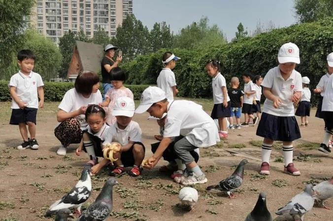 力迈双语学校,力迈幼儿园双语班