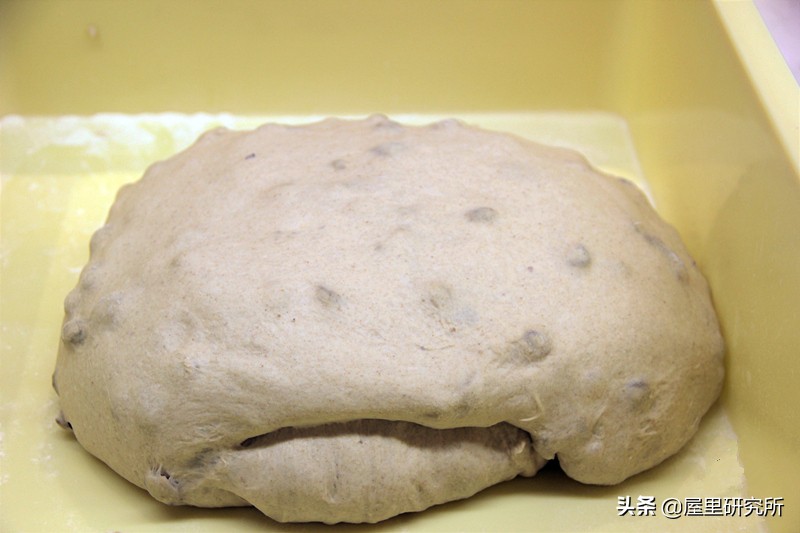 欧包热风烤箱,欧包很难做吗