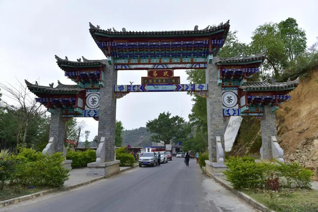 易武正山贡茶图片大全,2002年易武正山贡茶阿诗玛