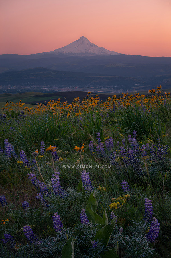 摄影ps景深合成的方法,ps景深合成焦点堆叠