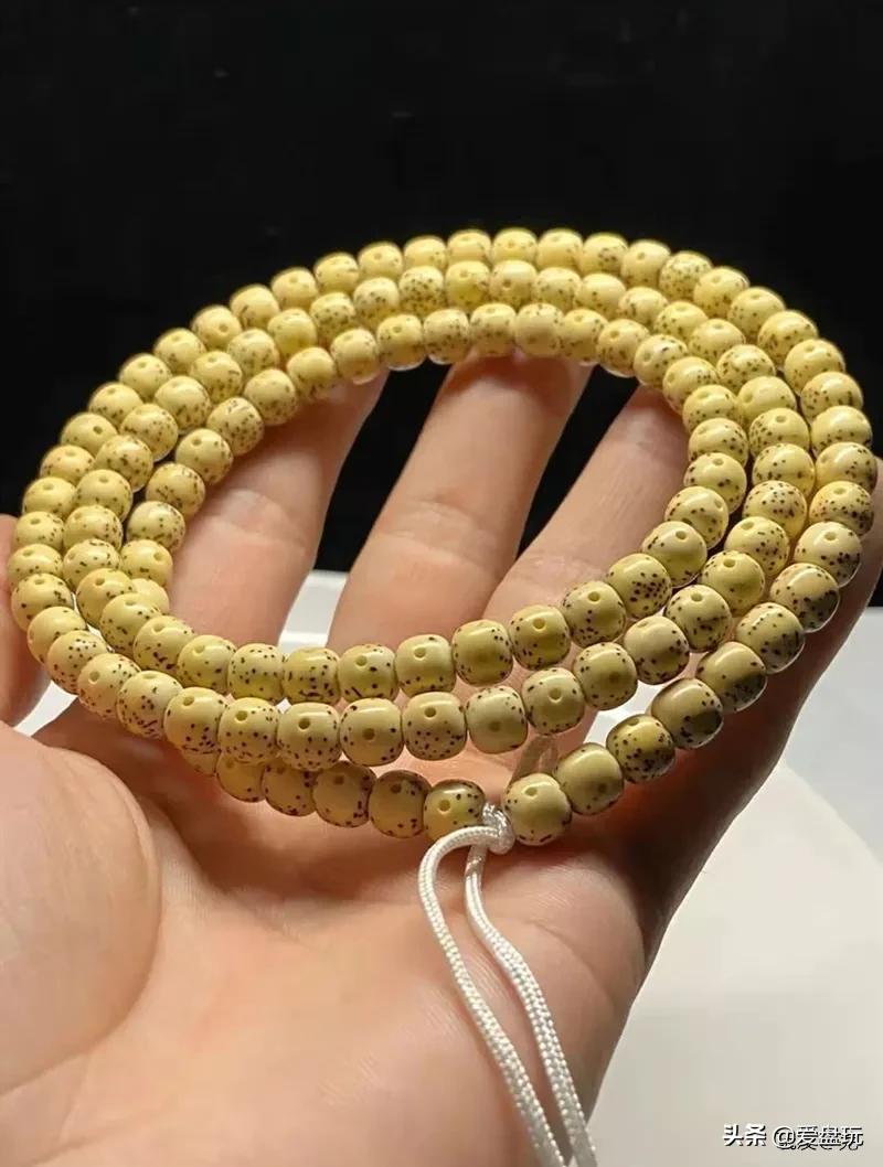 卖星月菩提高价违法么,5000块的星月菩提