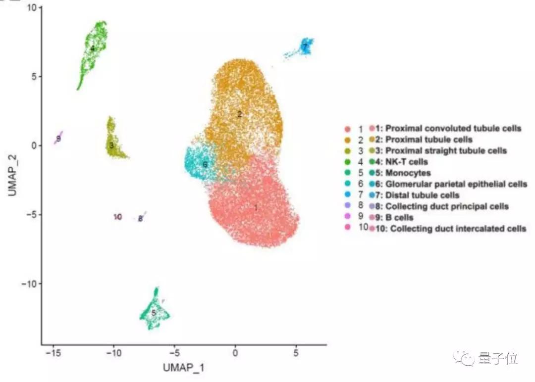 新冠睾丸损伤,新冠损伤睾丸