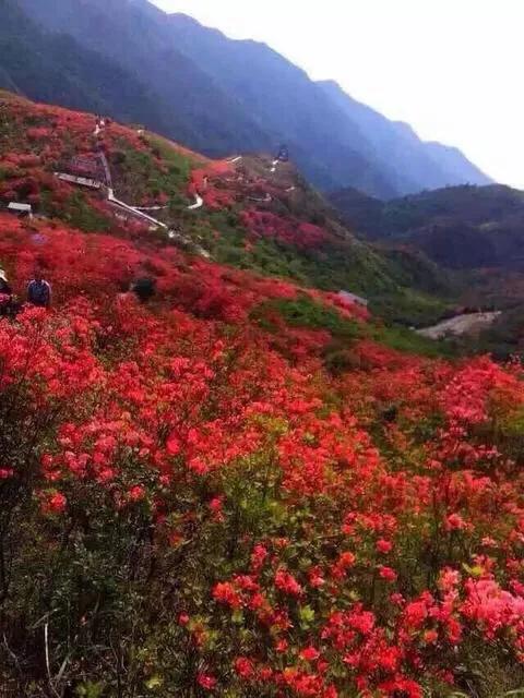 达州三汇,四川省渠县三汇白腊坪民间故事