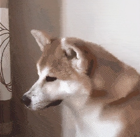 狗狗中毒急救用药,朱医生后续怎么样了