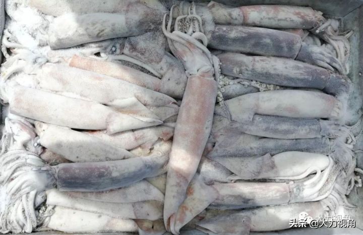 收藏海参干货,朝鲜有哪些有收藏价值的东西