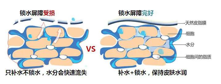 美容护肤冬季肌肤外油内干怎么办,肌肤屏障受损外油内干怎样修复