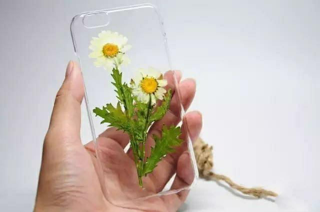 买手机送的透明壳，太难看？小姐姐教你做出最美“花壳”，收藏