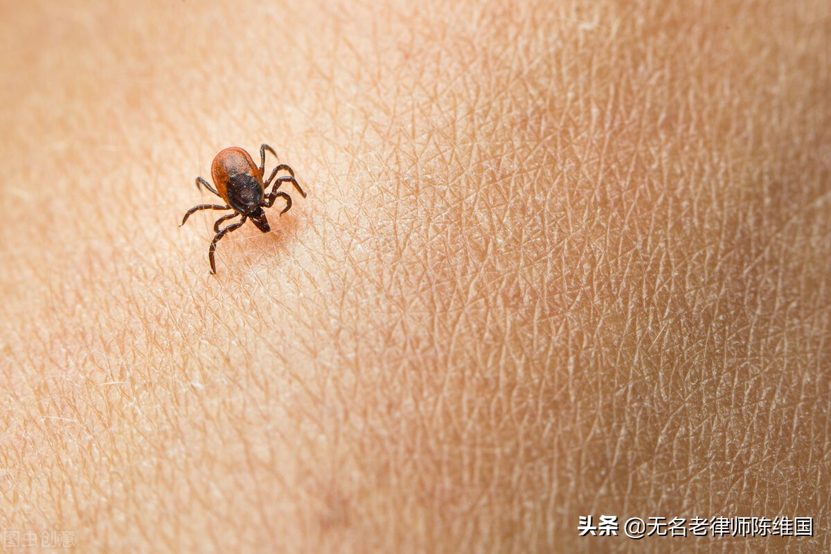 小区草皮允许遛宠物吗,小区里狗跑出去能回来吗