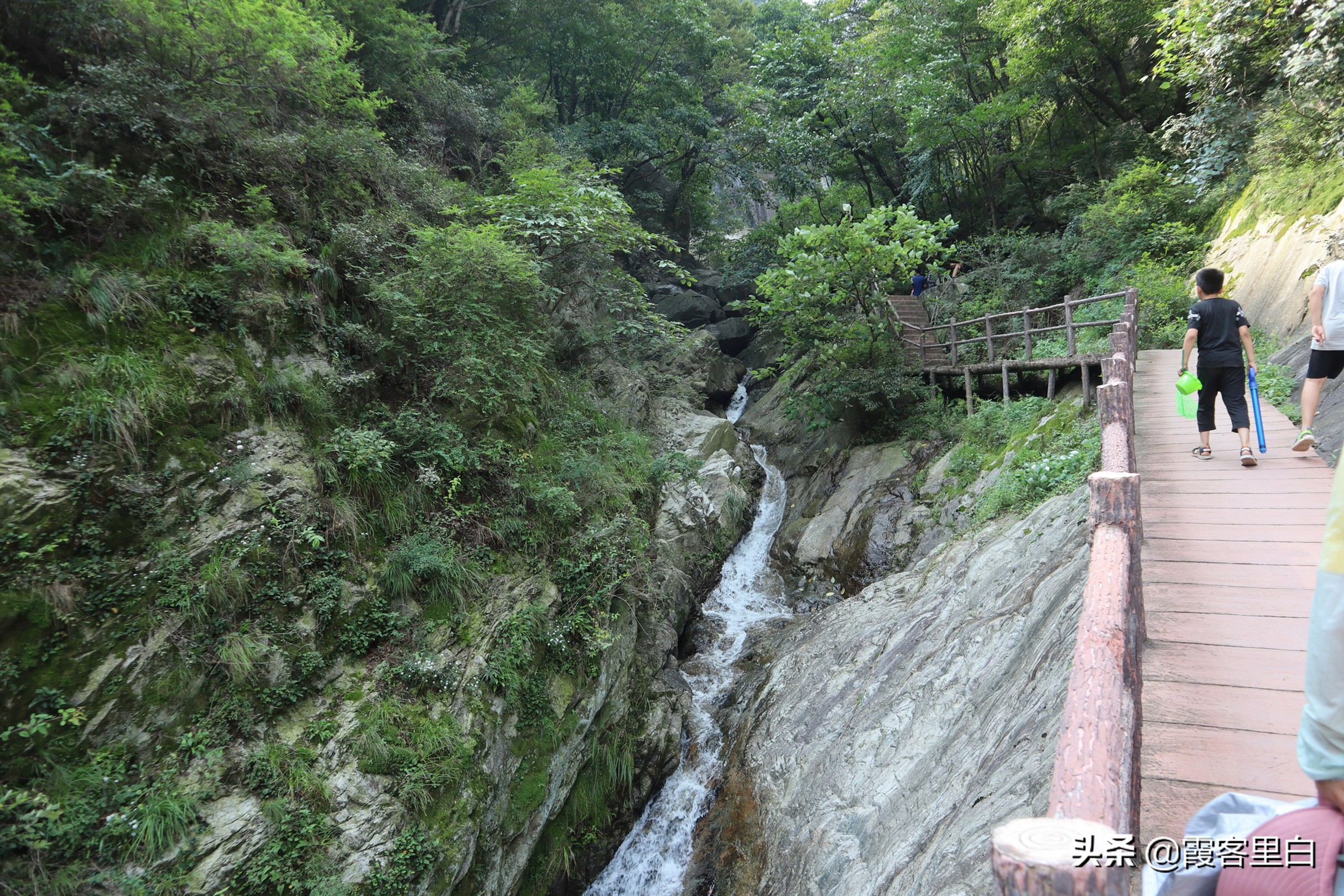 南召宝天曼旅游路线推荐,南召周边山水景区推荐景点