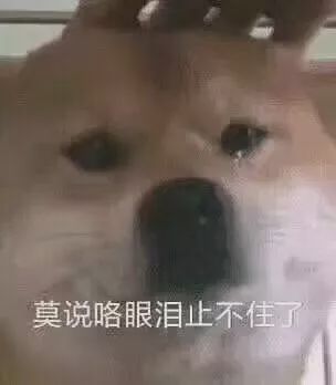 王小琴事件,王小琴后来怎么样了