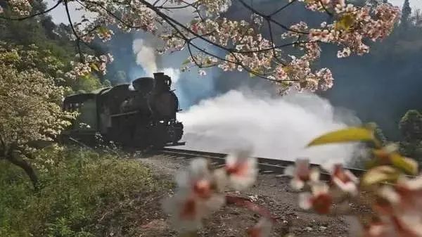 走!出发去犍为!