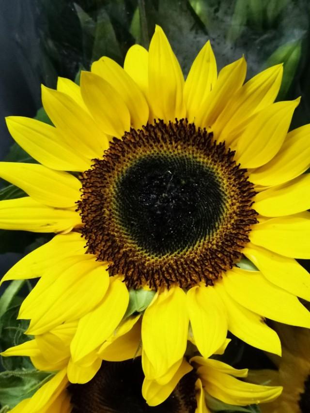 如何实现梦想和目标,如何实现梦想句子