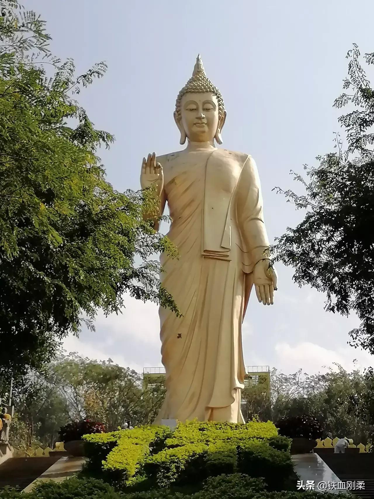 西双版纳景洪市景色壮丽的地方,西双版纳景洪市有什么好玩的景点