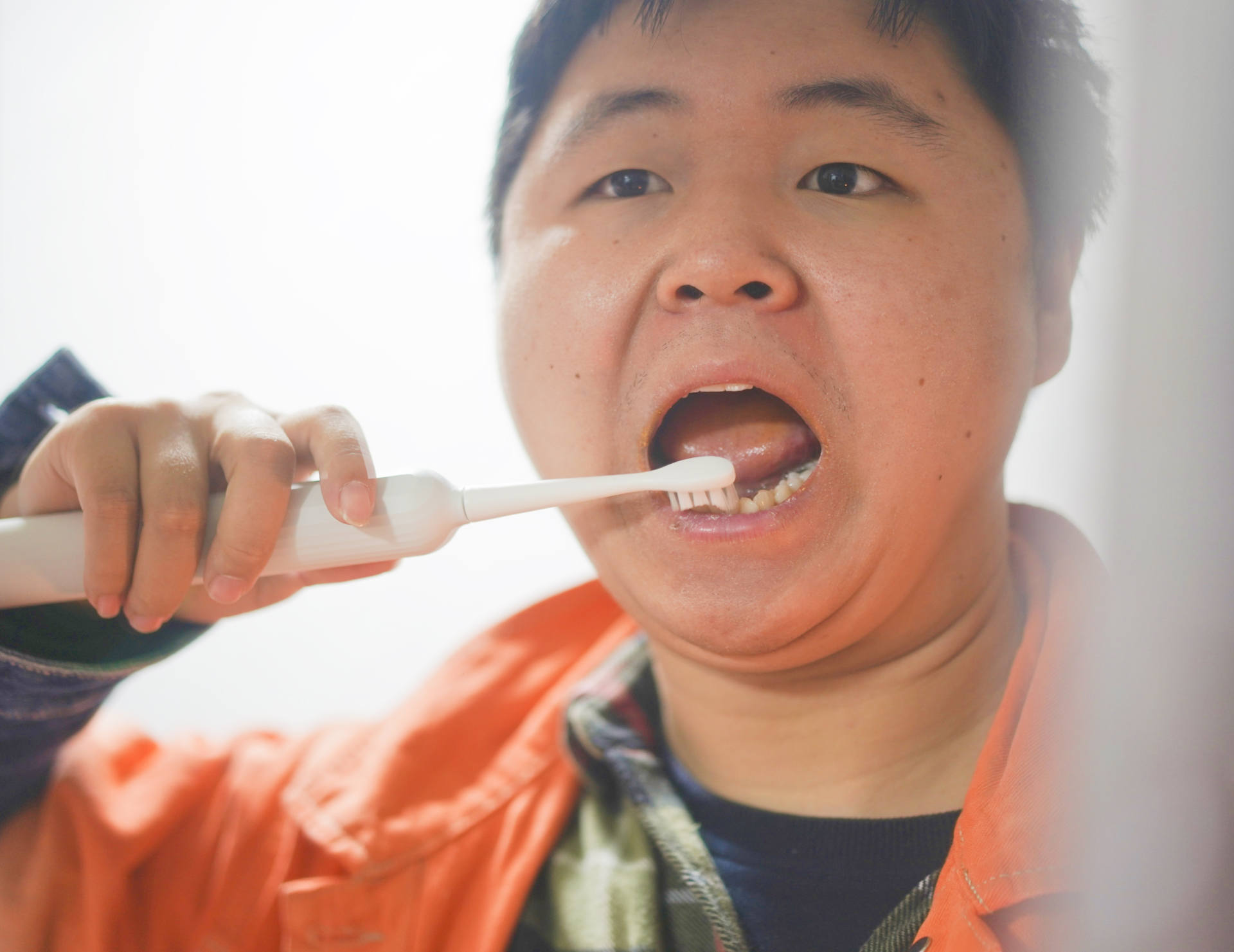 鐢靛姩鐗欏埛p2娴嬭瘎,缇庣湅m2鐢靛姩鐗欏埛娴嬭瘎