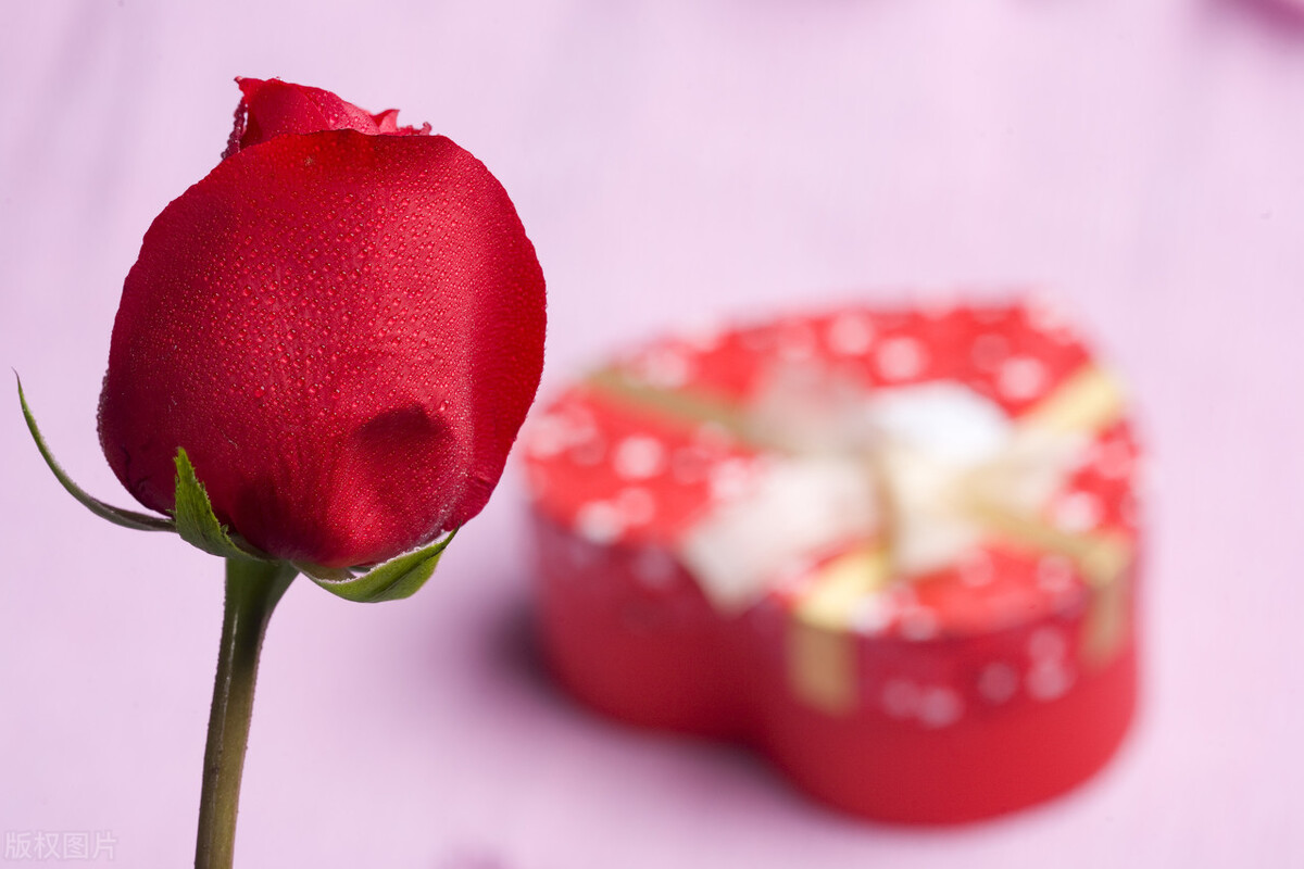 单身36年,被人介绍为精神病患者对象后,我的择偶观彻底变了