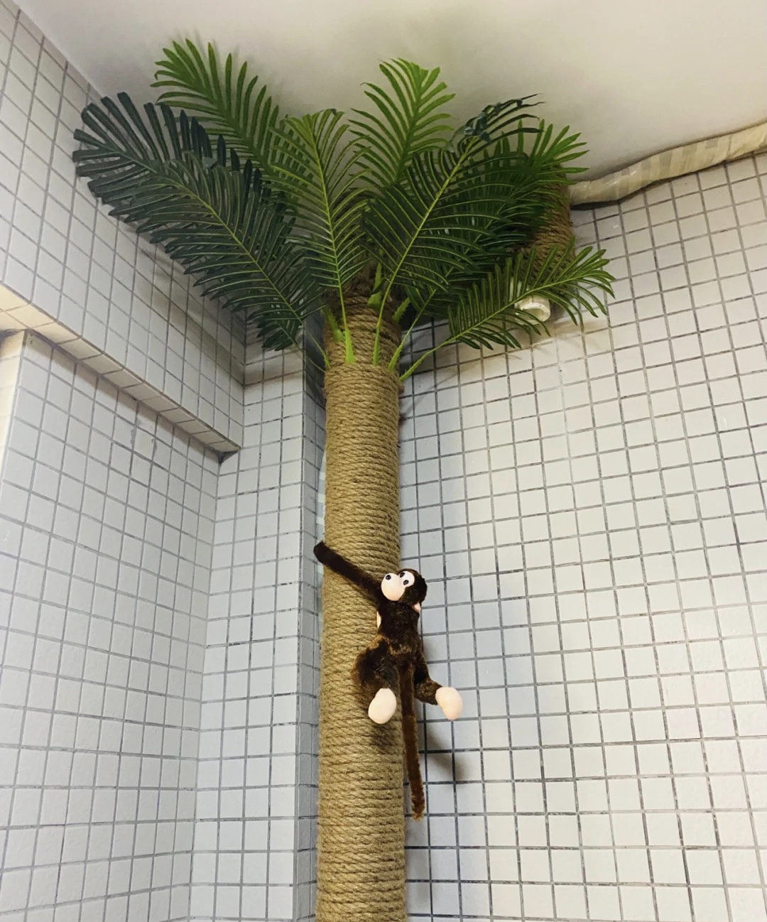 家装遮丑小窍门,五个装修遮丑小技巧是什么