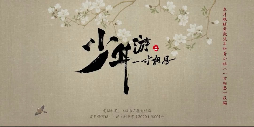 以少年游为题,以少年游为题议论文