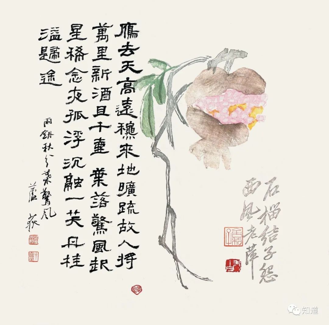 二十四节气秋分印记,二十四节气秋分风景