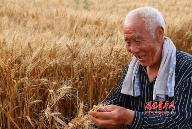 富平：把好粮食质量安全关120位粮食经纪人再充电