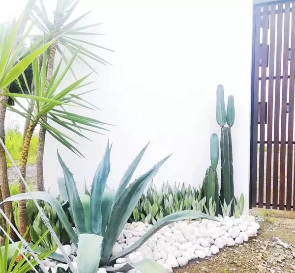 乡村庭院花园,乡村庭院花园设计实景图