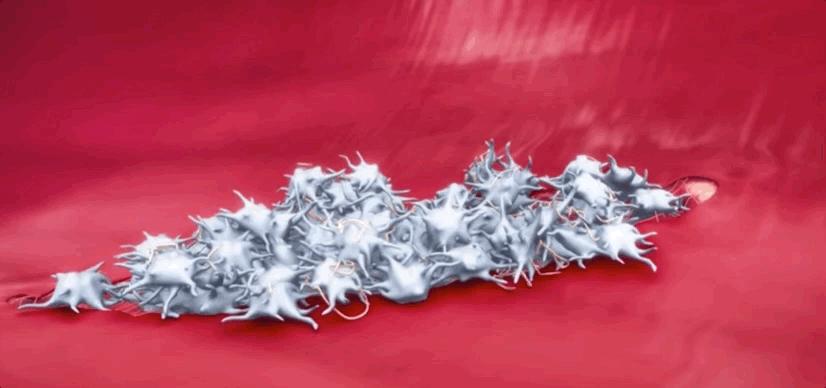 血小板破裂是什么意思,血小板凝固原因