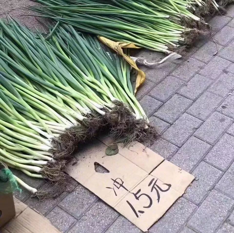 朋友圈女朋友图鉴 (朋友圈女朋友图集)