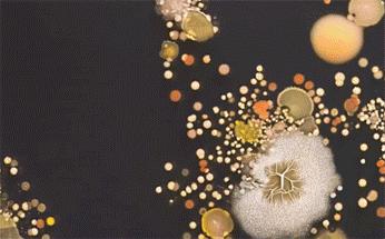 暑假孩子玩手机不如打篮球吧,儿童显微镜放大蚂蚁120倍