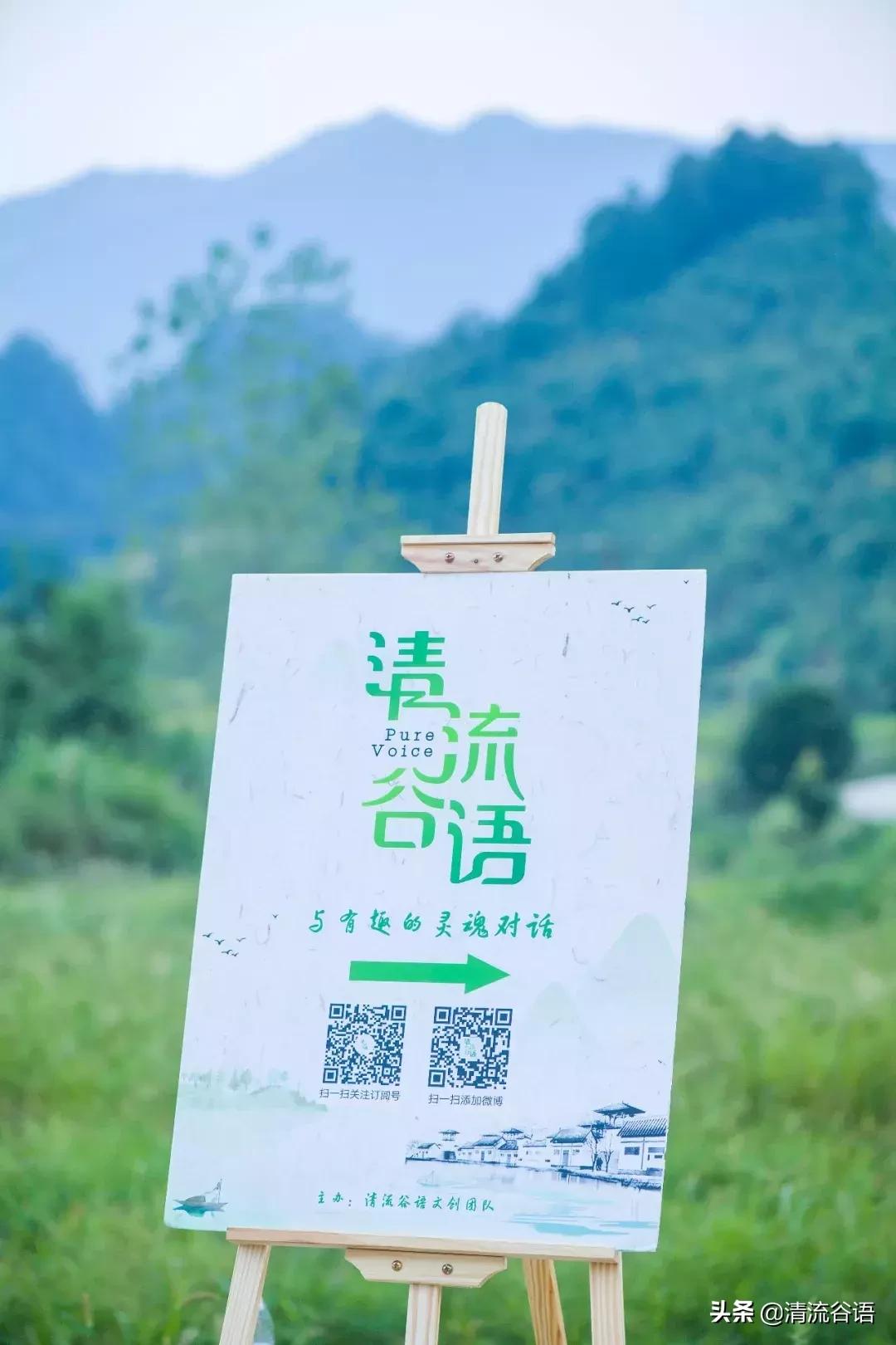 老茶新酒——与香港籍“老村长”星空下的漫谈