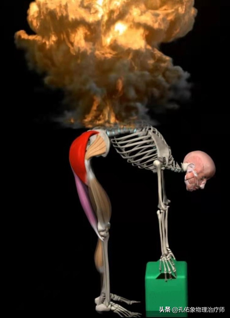 为什么弯腰之后就起不来,为什么弯腰起来特别不舒服