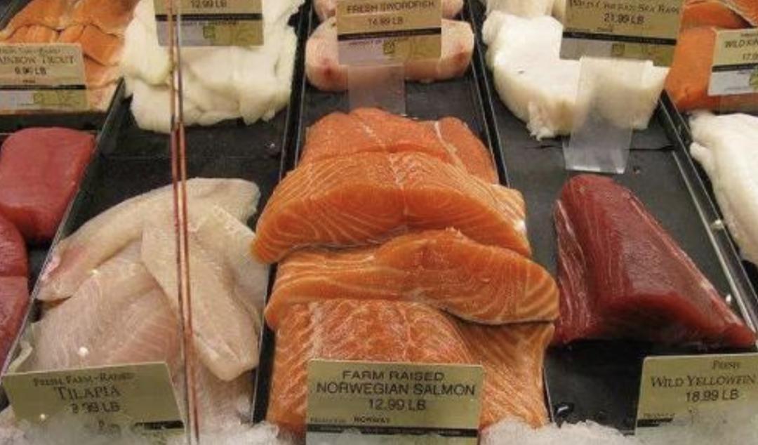 刺身鱼要速冻吗,放了1年的腌鱼还可以吃吗