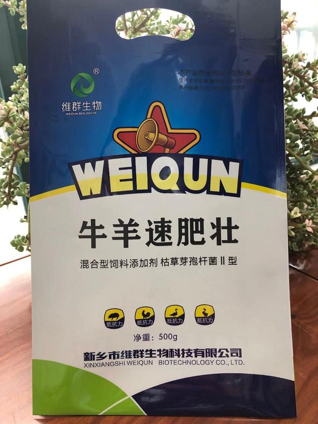 牛最常见的病用什么药,牛胃炎的中药治疗方案