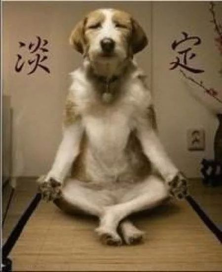 生孩子的尴尬,生孩子尴尬