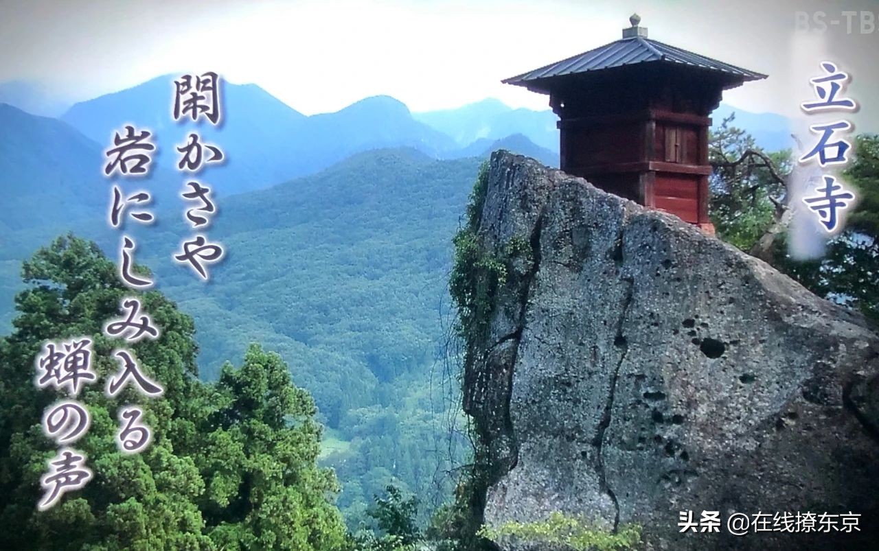 中秋思夏蝉(丁数言)